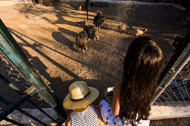 Free photo two girls feeding grains to chicken in the farm