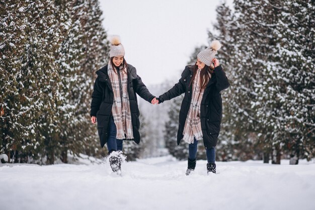 Two girls twins together in winter park