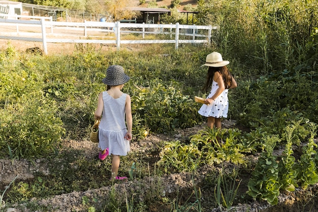 Foto gratuita due ragazze che camminano nel campo