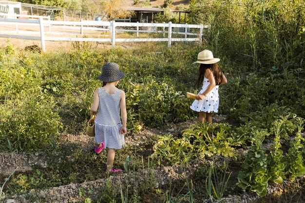 Two girls walking in the field