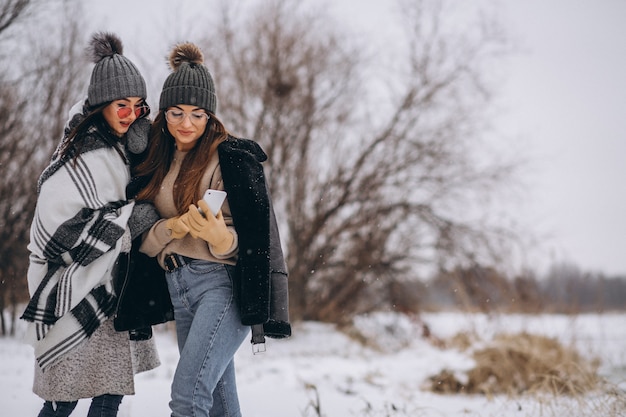 Two girls walking together in a winter park and doing selfie