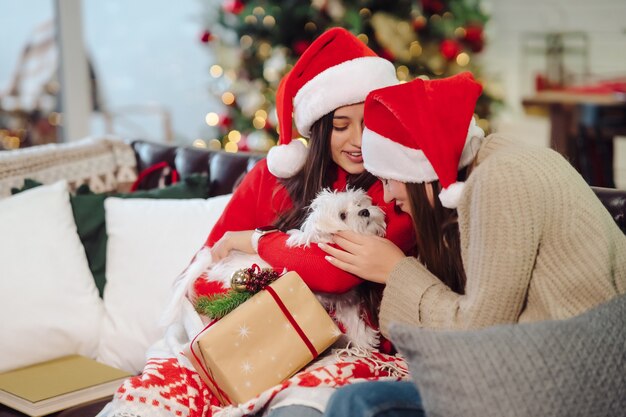 Two girls with a small dog are sitting on the couch on New Year's Eve.