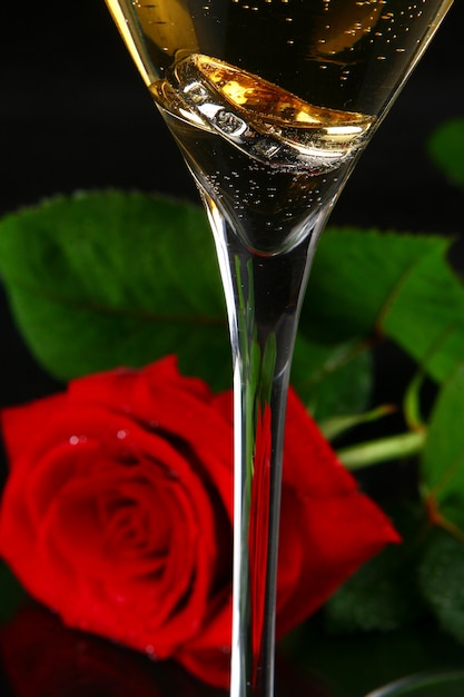 Два бокала шампанского и роза
