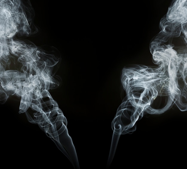 Free photo two great smoke silhouettes