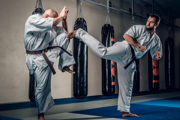 Two judo wrestlers showing their technical skills at fight club.