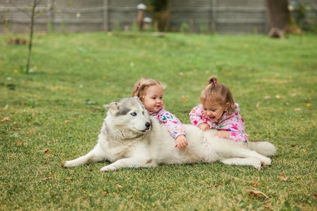 The two little baby girls playing with dog against green grass