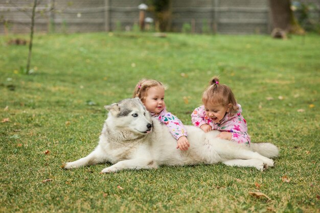 The two little baby girls playing with dog against green grass