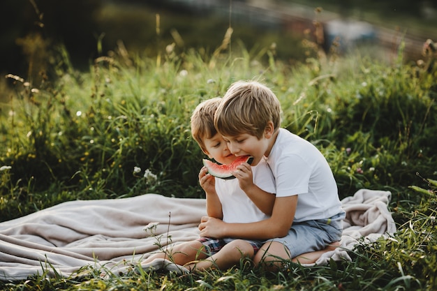 Two little brothers have fun lying on a green field in the rays