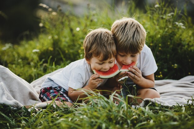 Two little brothers have fun lying on a green field in the rays