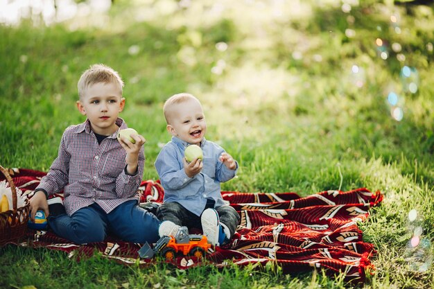 ジーンズとチェックのシャツを着て公園でリンゴを座って食べている2人の弟緑の草の中で身に着けている男の子幸せな笑顔と目をそらしている子供の概念