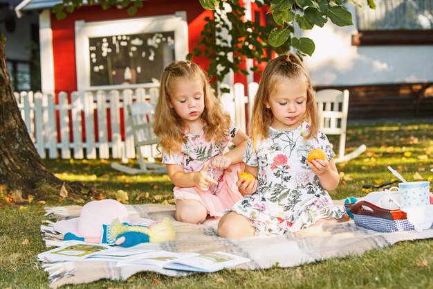 Two little girls sitting on green grass