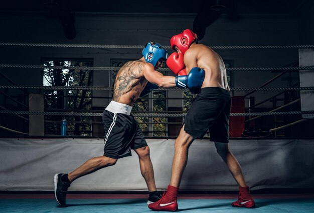 Two muscular boxers have a competition on the ring, they are wearing helmets and gloves.