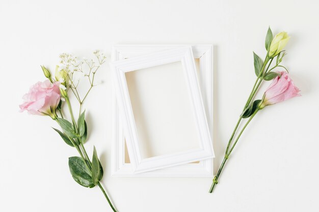 Two painted frame with pink eustoma and baby's-breath flowers on white background