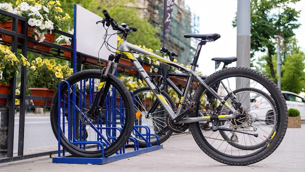 道路の近くの通りに駐車した自転車2台、花