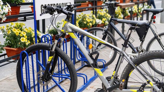 Two parked bicycles on a street near a road, flowers