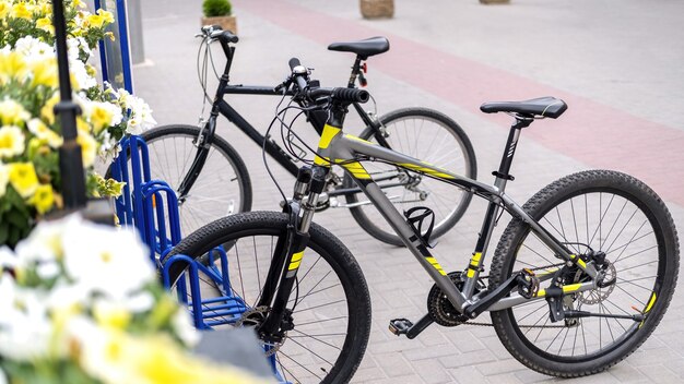 Two parked bicycles on a street near a road, flowers