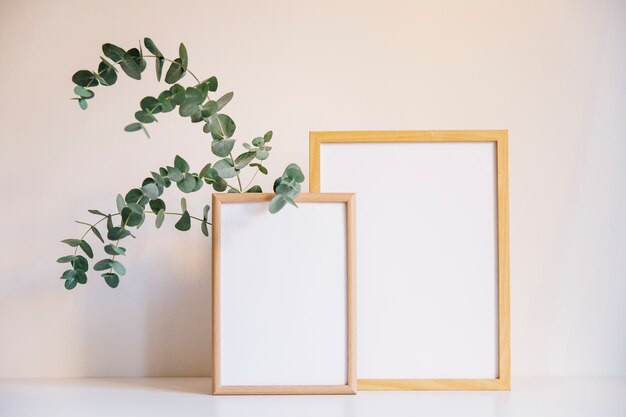 Two Photo Frames And Branch