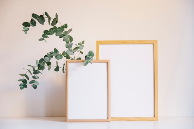 Two photo frames and branch