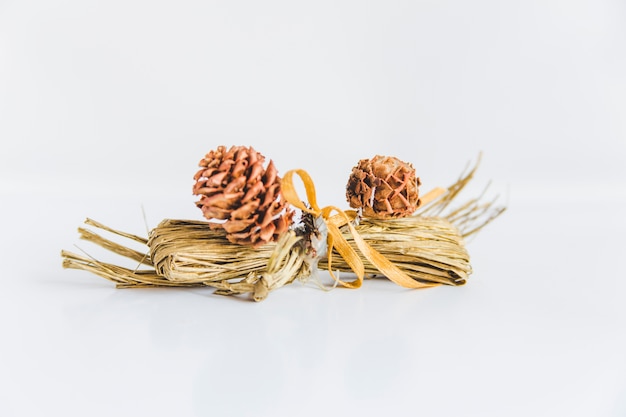 Two pine cones with hay bundle on white background