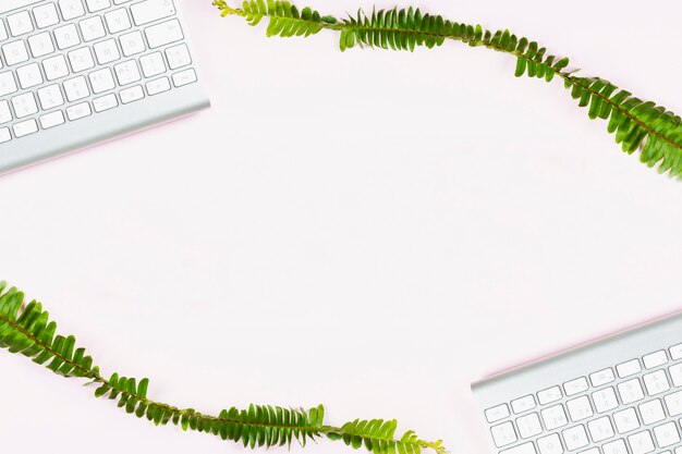 Two plant branches with white keyboards on blank background