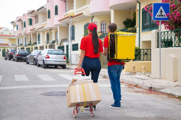 Two post office workers with yellow thermal bag and boxes on trolley. Back view of couriers in red shirts looking for address and delivering order. Delivery service and online shopping concept