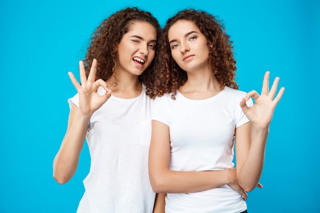 Two pretty girls twins smiling, showing okay over blue wall