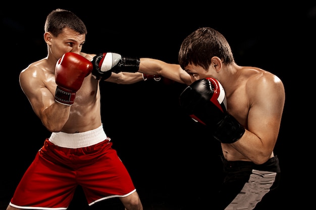 Free photo two professional boxer boxing on black background,