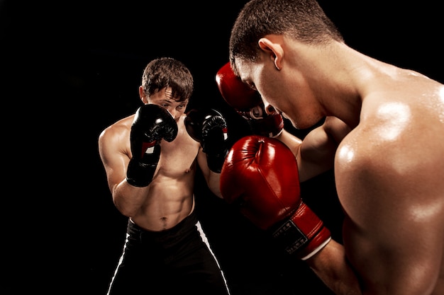 Free photo two professional boxer boxing on black background,
