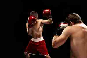 Free photo two professional boxer boxing on black wall