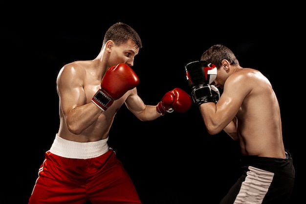 Free photo two professional boxer boxing on black wall,