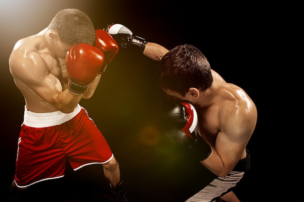 Free photo two professional boxer boxing on black wall,