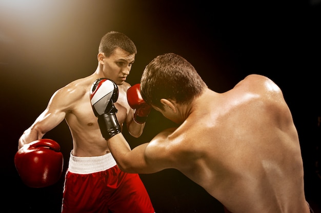 Free photo two professional boxer boxing on black wall,