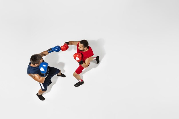 Two professional boxers boxing isolated on white studio background, action, top view. Couple of fit muscular caucasian athletes fighting.