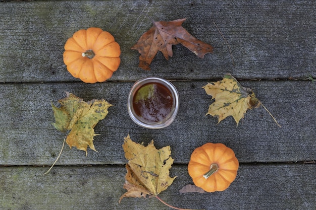 Foto gratuita due zucche e foglie che circondano la tazza