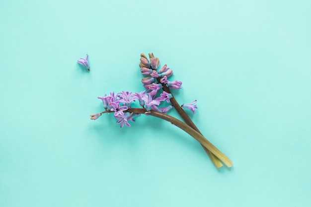 Two purple flower branches on table