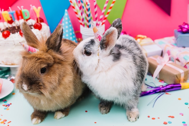 Two rabbits sitting in front of birthday decoration