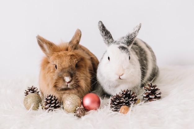 クリスマスの装飾をした2匹のウサギ