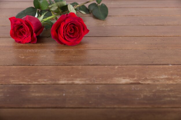 Two red roses on table