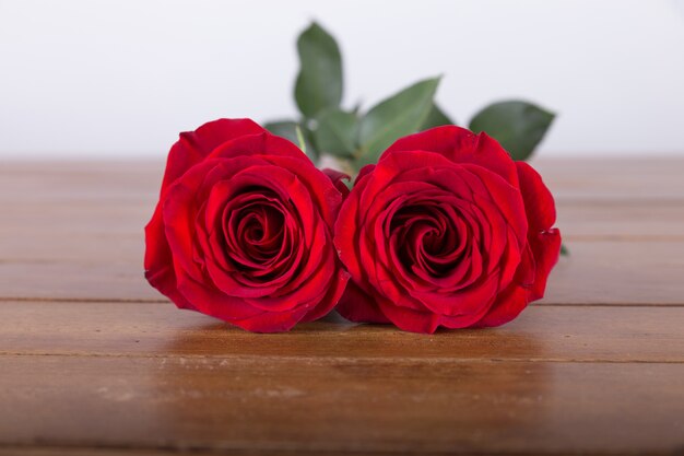 2つの赤いバラ