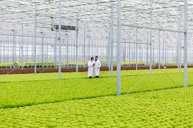 Two researches man and woman examine greenery with a tablet in an all white greenhouse