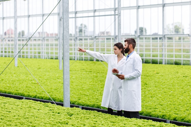 Two researches man and woman examine greenery with a tablet in an all white greenhouse