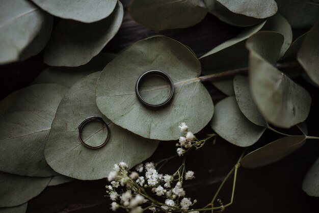 two rings on heart-shaped green leaves