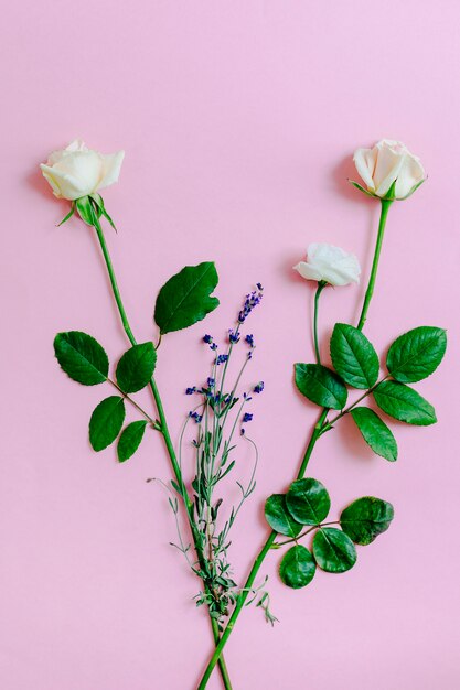 ピンクの背景にラベンダーの花と2つのバラ