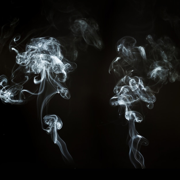 two silhouettes of smoke with wavy shapes