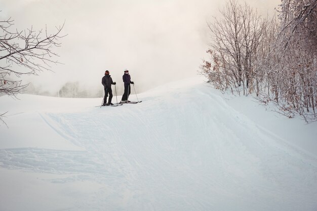 雪に覆われたアルプスでスキーをする2人のスキーヤー