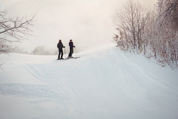 Two skiers skiing in snowy alps