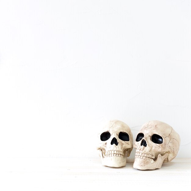 Two skulls for Halloween celebration