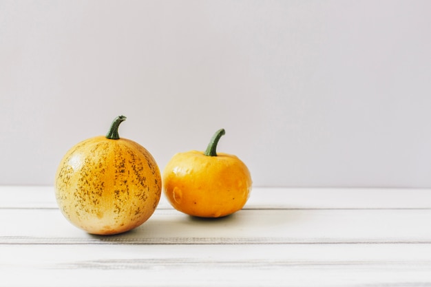 Free photo two small pumpkins on white