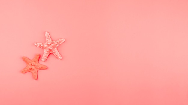 Two starfish on the coral background with copy space