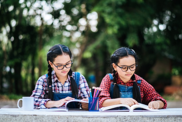 Due studenti che studiano insieme online con un computer portatile nel parco